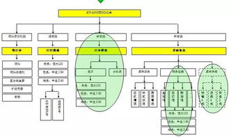從養(yǎng)殖場到展示臺(tái) 中擂品牌策劃賦能江豐實(shí)業(yè)肉雞全產(chǎn)業(yè)鏈整合營銷